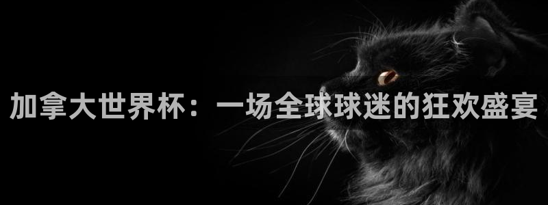 澳门世界杯直播：加拿大世界杯：一场全球球迷的狂欢盛宴