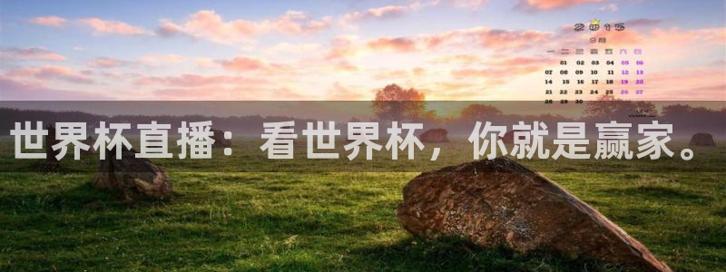国际足联世界杯：世界杯直播：看世界杯，你就是赢家。