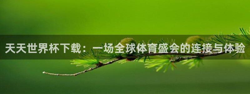 世界杯预选赛欧洲赛区积分榜：天天世界杯下载：一场全球体育盛会的连接与体验