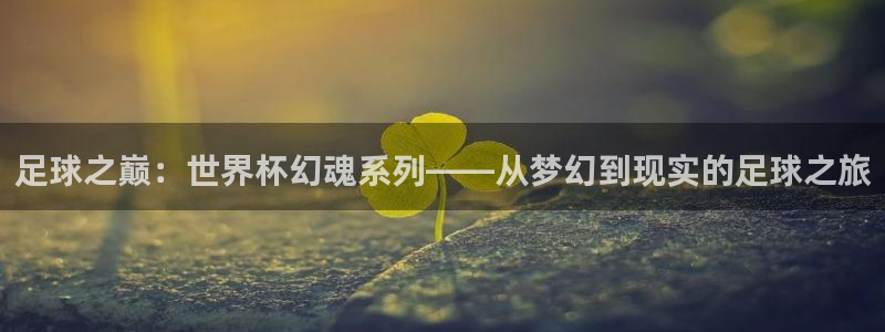 今天所有足球赛程表：足球之巅：世界杯幻魂系列——从梦幻到现实的足球之旅