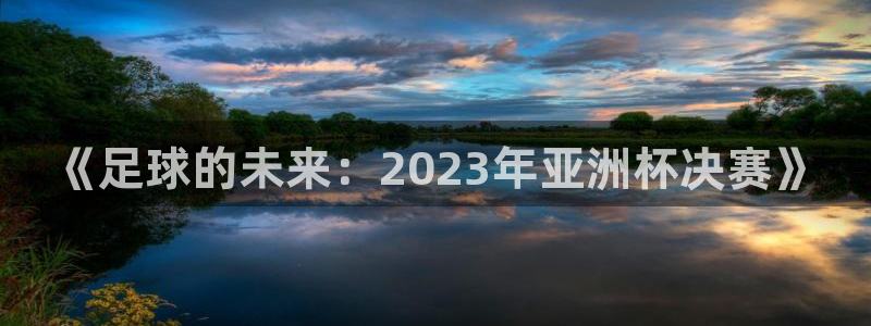 世界杯直播平台：《足球的未来：2023年亚洲杯决赛》