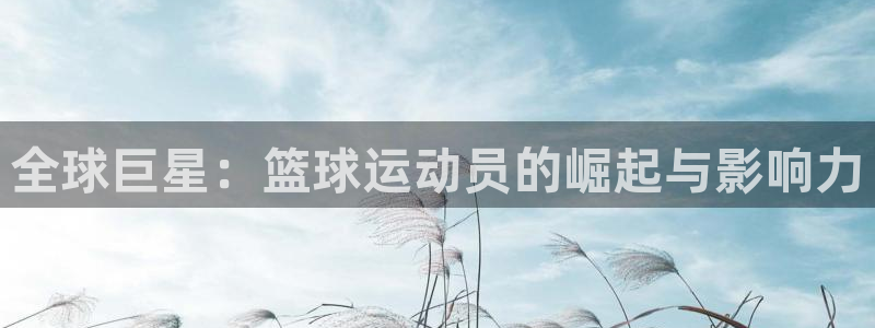 世界杯预选赛排名：全球巨星：篮球运动员的崛起与影响力