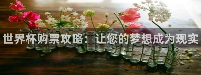 世界杯女足直播：世界杯购票攻略：让您的梦想成为现实