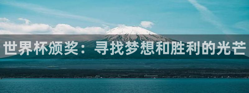 2026年世界杯对阵图：世界杯颁奖：寻找梦想和胜利的光芒