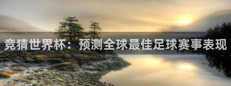 2026世界杯南美区积分榜：竞猜世界杯：预测全球最佳足球赛事表现