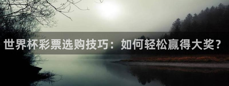 世界杯决赛圈球队：世界杯彩票选购技巧：如何轻松赢得大奖？