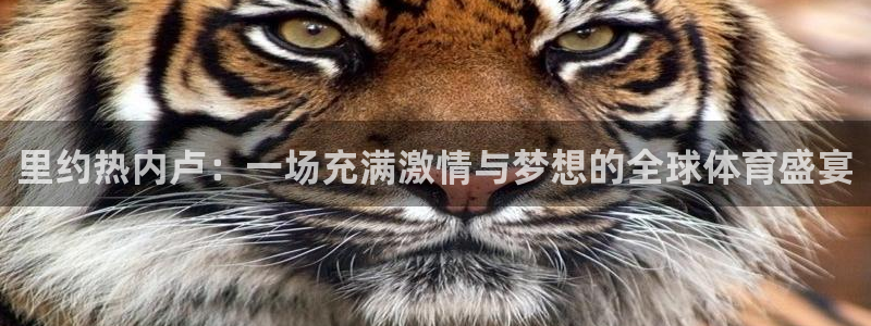 女足世界杯直播在线观看免费高清：里约热内卢：一场充满激情与梦想的全球体育盛宴