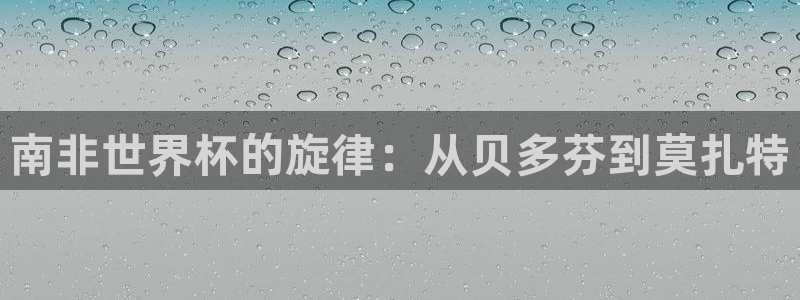 国际足联世界杯:南非世界杯的旋律:从贝多芬到莫扎特