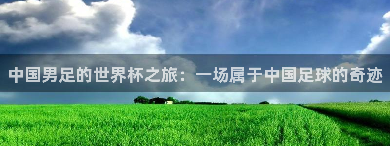 世界杯预选赛排名：中国男足的世界杯之旅：一场属于中国足球的奇迹
