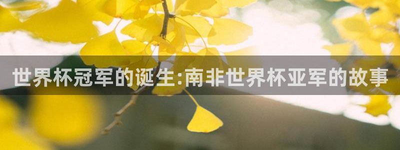 世界杯2026赛程表：世界杯冠军的诞生:南非世界杯亚军的故事