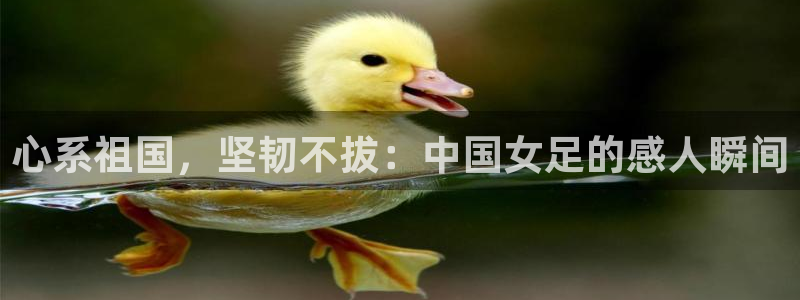 足球世界杯预选赛：心系祖国，坚韧不拔：中国女足的感人瞬间