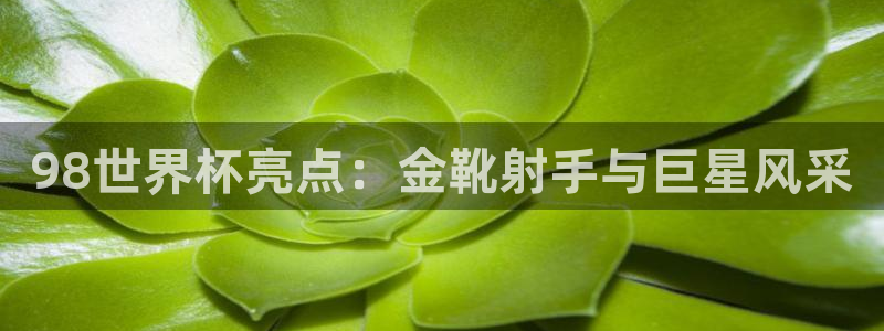 世界杯比赛赛程：98世界杯亮点：金靴射手与巨星风采