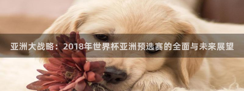 足球世界杯赛程：亚洲大战略：2018年世界杯亚洲预选赛的全面与未来展望