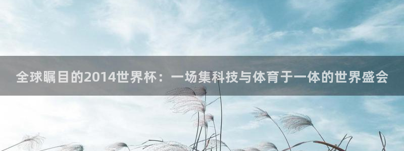 2026世界杯官网入口：全球瞩目的2014世界杯：一场集科技与体育于一体的世界盛会